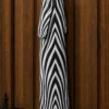 tb6 Animal Print Collection Tail Bags